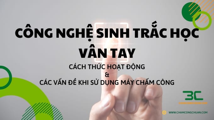 Công nghệ sinh trắc học vân tay: cách thức hoạt động và các vấn đề khi sử dụng máy chấm công